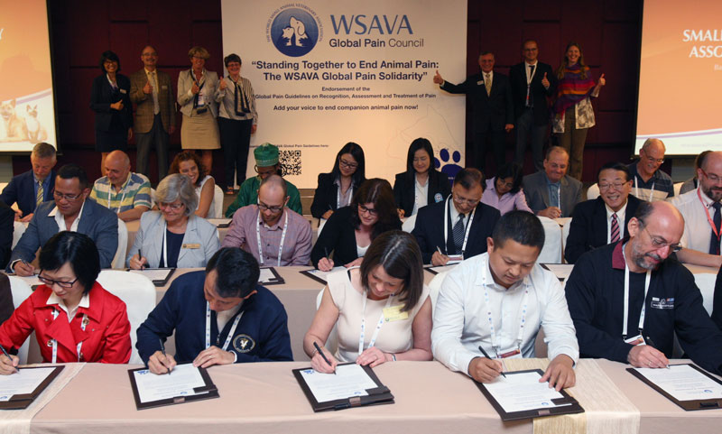 WSAVA Focuses on Stopping Pain in Animals