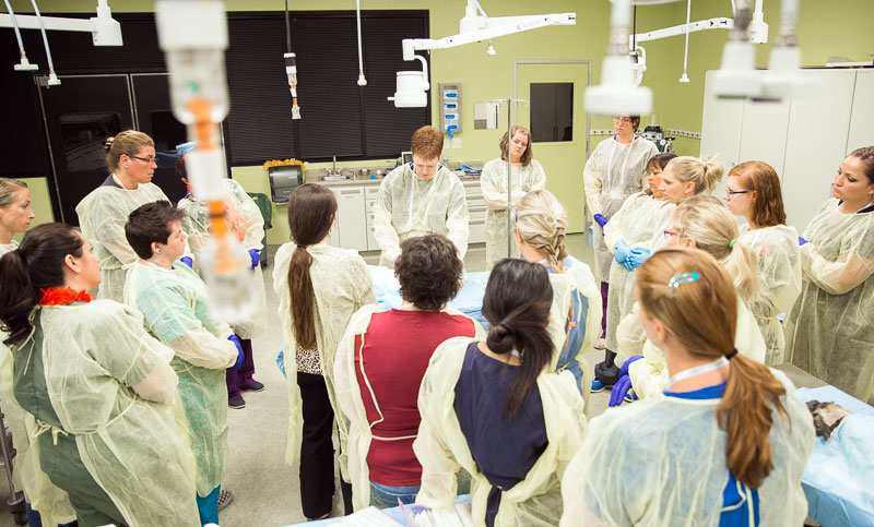 Vet Techs Flock to WVC Symposium
