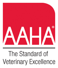AAHA Releases Anesthesia Guidelines