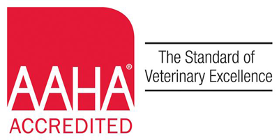 AAHA Study: Culture Can Make or Break Veterinary Practice's Success