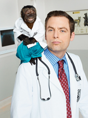 NBC Puts 'Animal Practice' To Sleep