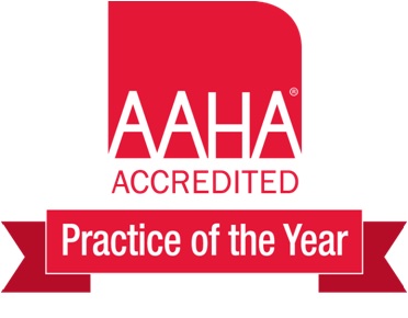 AAHA Picks Best Practices