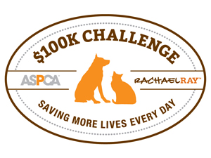 Animal Shelters Vie For $500,000 In Adoption Contest