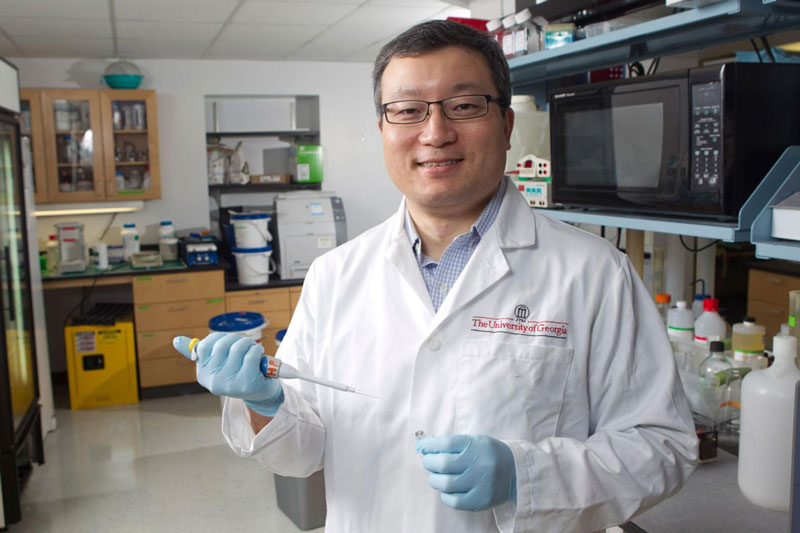 Georgia Researchers Develop New Treatment for Rabies