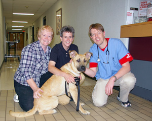 Braveheart The Dog Makes Full Recovery At UW-Madison