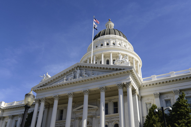 California Pet Insurance Consumer Protection Bill Signed by Brown