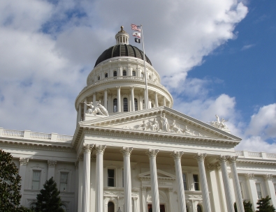 The Pet Industry Agrees: More Pet Insurance Regulation in California Is a Good Thing
