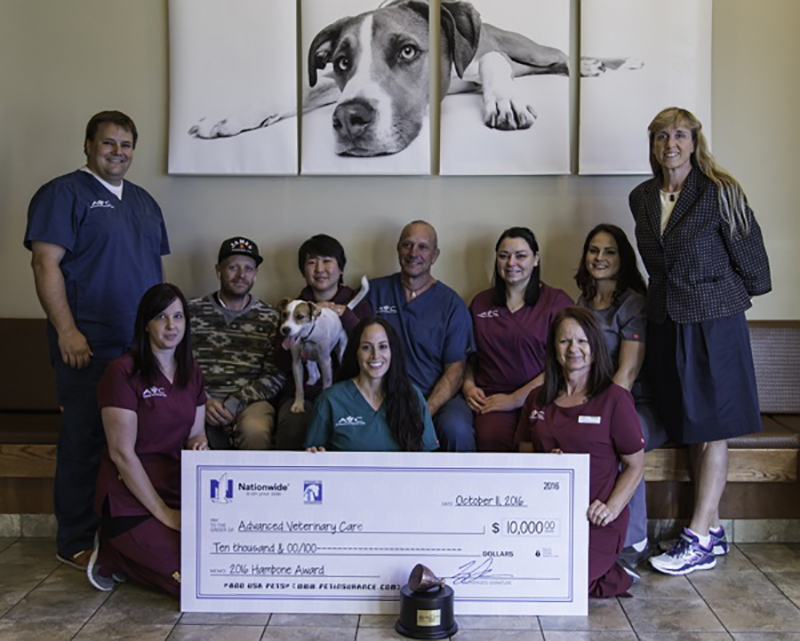 Hurt While Saving Owner, Dog Wins Hambone Award