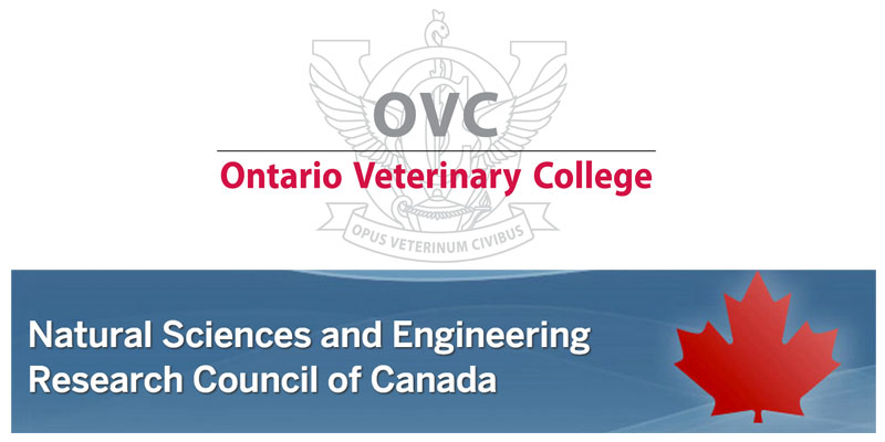 Ontario’s Vet College Gets $1.4 Million from NSERC
