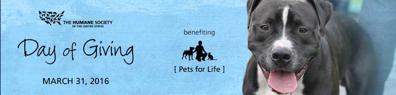 'Day of Giving' Campaign Raising Funds for Pets in Underserved Communities