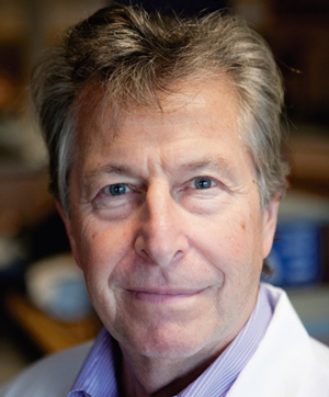 Dodman To Hold Behavior Workshops In Northern Calif.