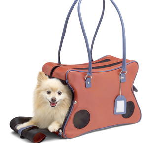 New U.K. Pet Travel Rules For 2012