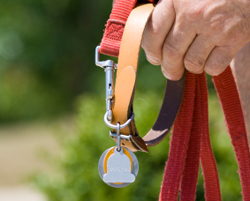 American Humane: Every Day Is Tag Day