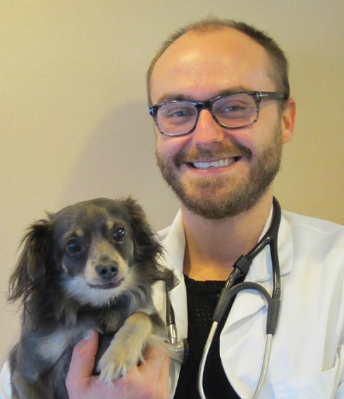 Got Allergies? No Problem, Say These Veterinarians