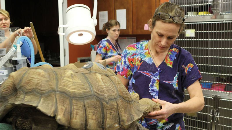 "Dr. K’s Exotic Animal ER" Premieres Oct. 4