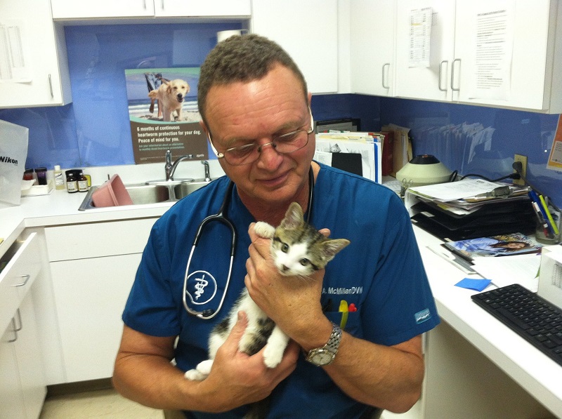 Veterinarian Receives Key to City for Saving Man’s Life