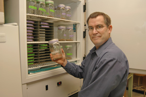 Dr. Michael Dryden Named Vet Of The Year
