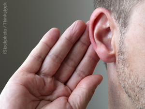 Bayer Creates New Scholarship To Promote Vet-Client Communication