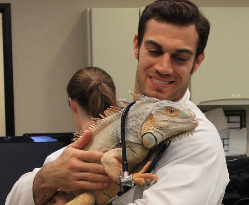 Extended Interview With Evan Antin, DVM