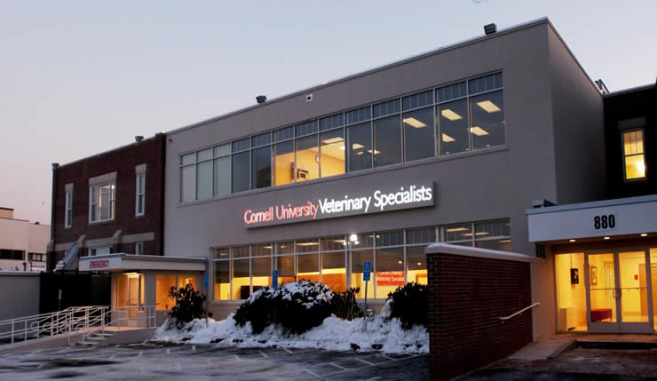 Cornell Satellite Animal Hospital Receives Level 1 Certification