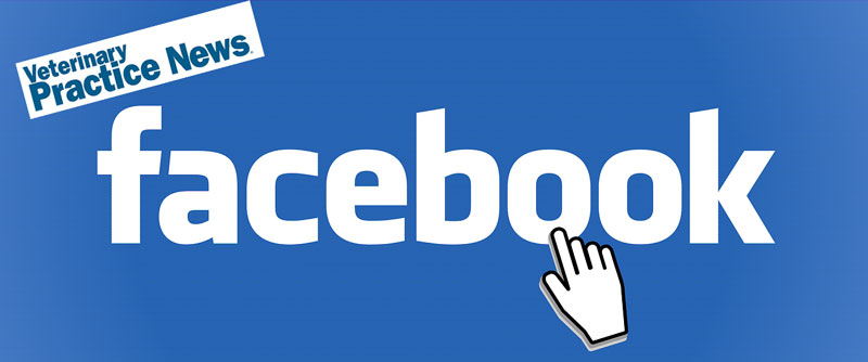 Top 10 Most Read Veterinary Practice News Facebook Posts of 2015
