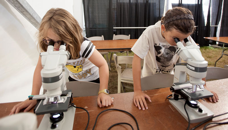 Purdue to Host Indiana State Fair Vet Camp in Mid-August