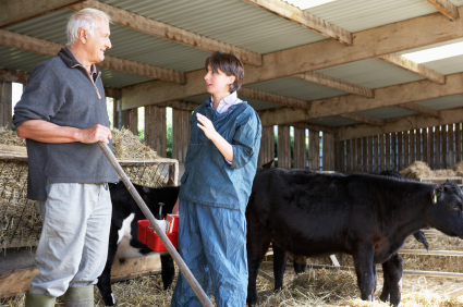 New Webinars To Focus On Organic Livestock