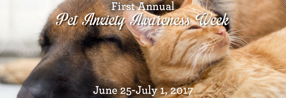 Kristen Levine launches first annual Pet Anxiety Awareness Week