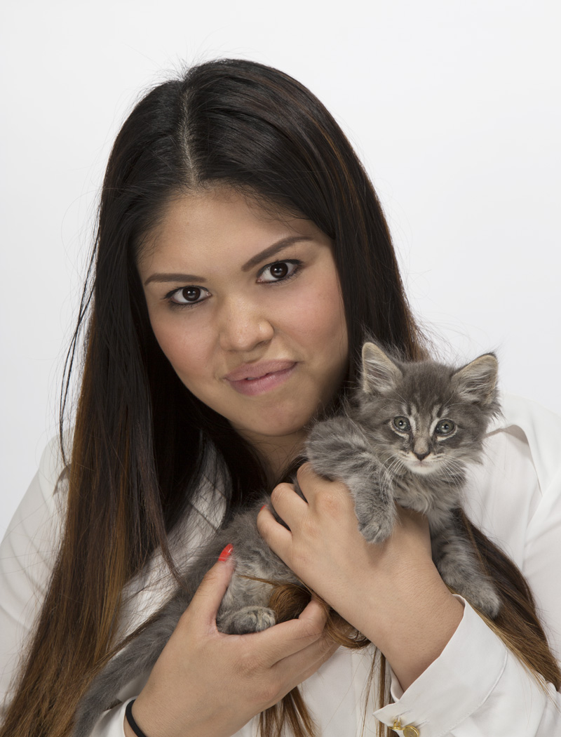 Winn Feline Foundation Awards Nine Cat Health Research Grants