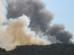 VCA Offers Free Boarding For Pets Affected By Southern California Fires