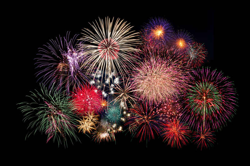 Vets Offer Tips On Keeping Pets Calm For July 4 Fireworks