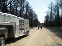 Second Wildfire In A Year Sends Colorado Animal Rescuers Scrambling
