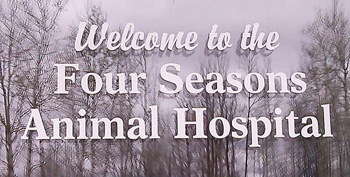 Vet Clinic Opened At Iron River Animal Shelter