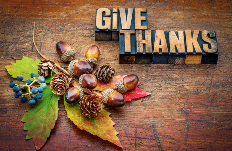 What Are You Thankful For?