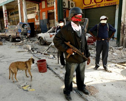 Veterinary Teams To Enter Haiti This Weekend
