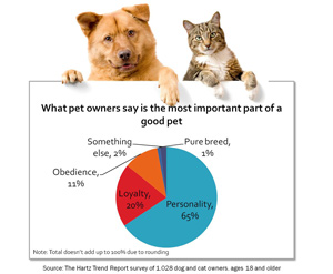 Pet Owners Favor Adoption, Survey Says