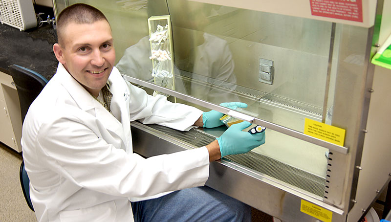Kansas State Develops Diagnostic Test to Identify Novel Pestivirus