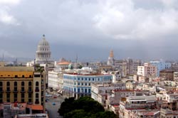 Cuba Reports Rabbit Hemorrhagic Disease Outbreaks