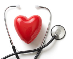 Idexx Seeks Vet Participation For Feline Heart Study