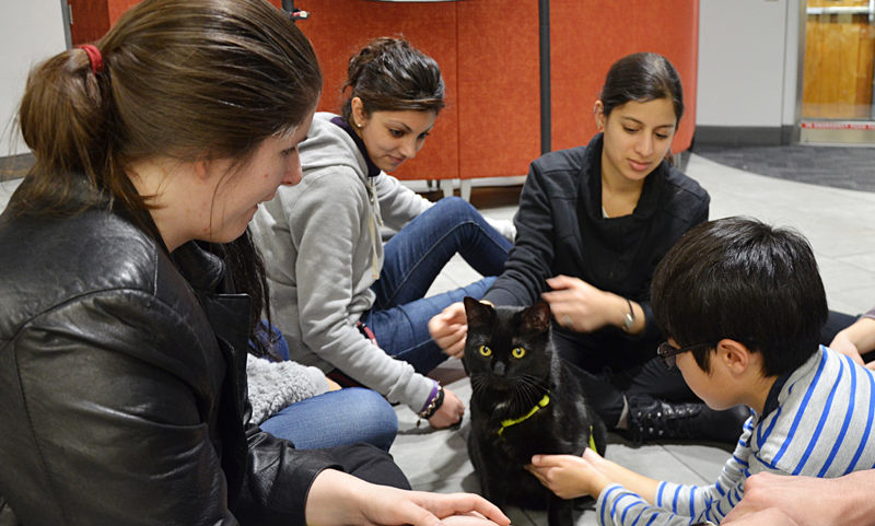Virginia Tech Vet College to Host Human-Animal Bond Symposium