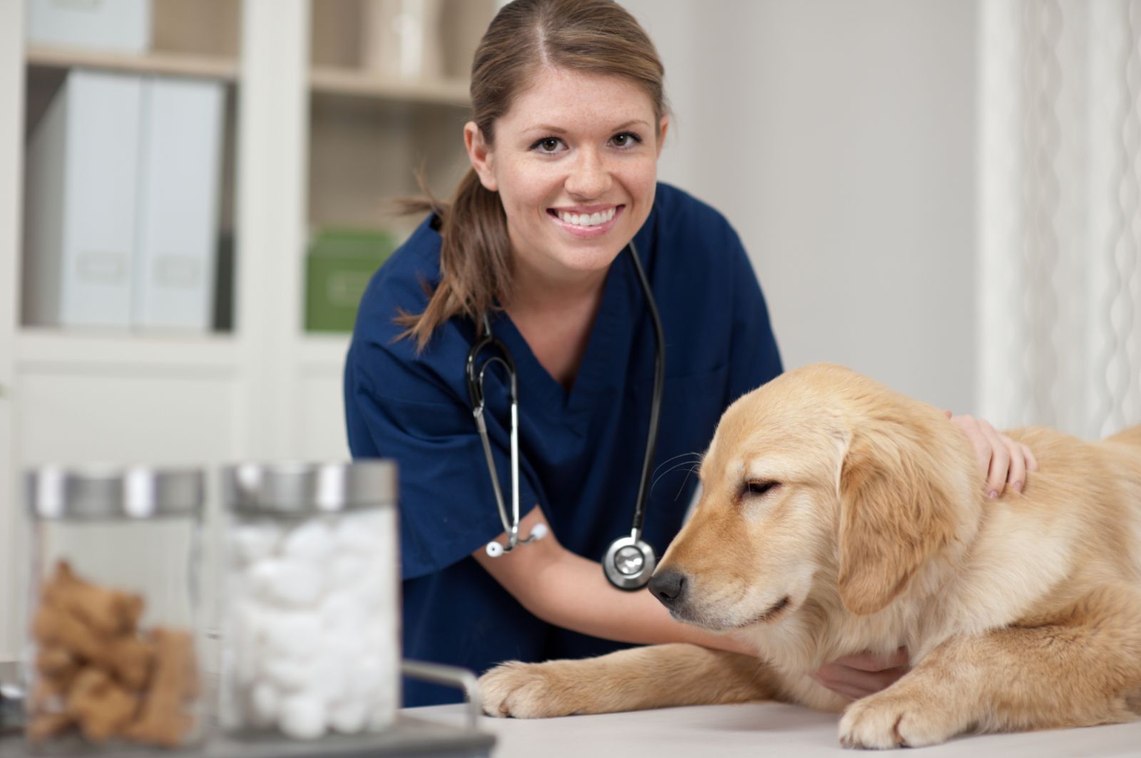 Zoetis, OVC Partnership to Study Mental Health Issues Affecting Veterinarians