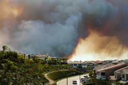 Banfield Mobile Unit To Aid In Southern California Fires