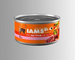 P&G Issues Limited Recall Of Iams ProActive Health Cat Food