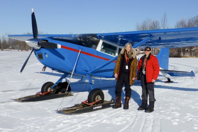 Veterinarian Volunteers At Iditarod