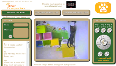 Shelter Cats Go Social Via Kong Campaign
