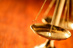 Duty To Treat Animals Depends On State Laws