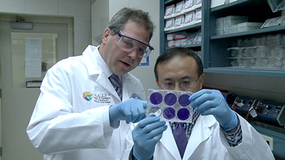 3-Strain Avian Flu Vaccine on Horizon
