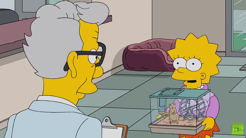 Lisa Simpson Becomes a Veterinary Intern