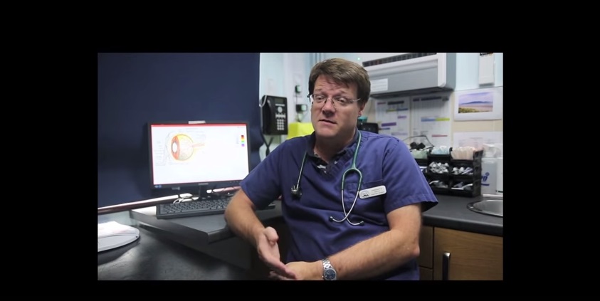 Veterinarian Saves Pet Owner’s Life After Dog is Euthanized