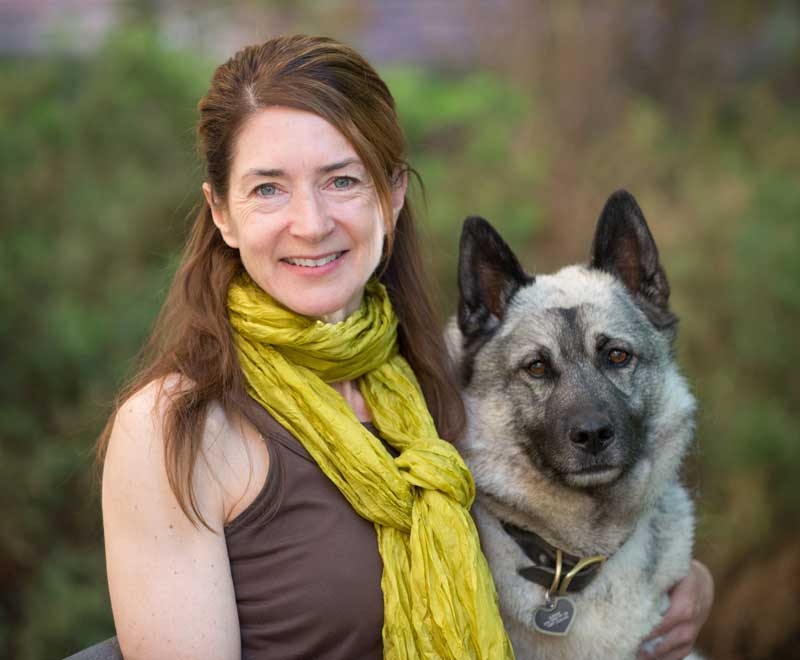 Melinda Frye To Head Colorado State Veterinary School